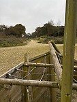 IMG_3358