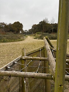 IMG_3358