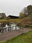 IMG_3337