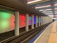 IMG_8566