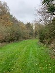 IMG_8575