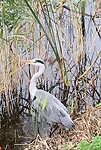 IMG_8663