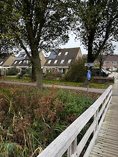 IMG_3434