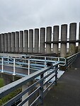 IMG_3455