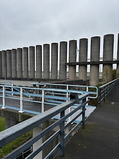IMG_3455