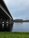 IMG_3446