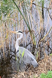 IMG_8663