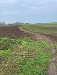 IMG_8760