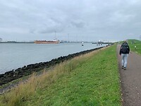 IMG_8778