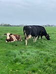 IMG_8764