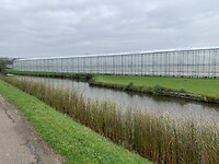 IMG_8782