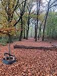 IMG_8785