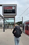 IMG_2441