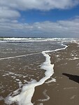 IMG_2463