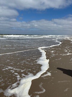 IMG_2463