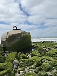 IMG_2480