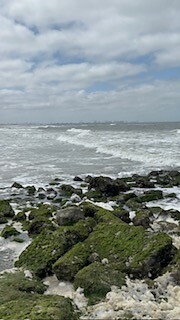 IMG_2484