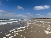 IMG_2494