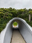 IMG_6989