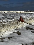IMG_7071