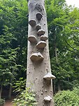 IMG_2664