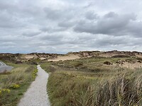 IMG_6258