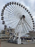 IMG_6261