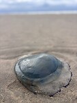 IMG_9357