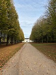 IMG_6460