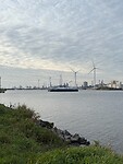 IMG_6469