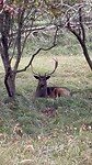 IMG_6379