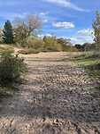 IMG_9421