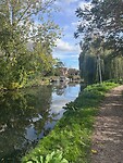IMG_9427