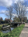 IMG_9428