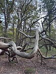 IMG_9461