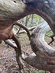 IMG_9462