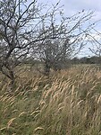 IMG_9494