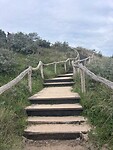 IMG_9497