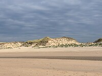 IMG_9511
