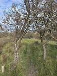 IMG_9522