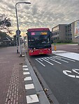IMG_9530
