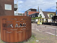 IMG_1234