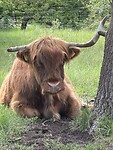 IMG_1313