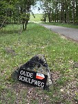 IMG_2449