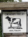 IMG_1339