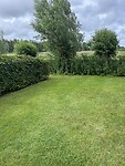 IMG_2482