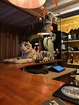IMG_1469