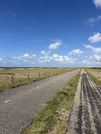 IMG_2634