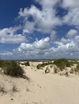 IMG_1497