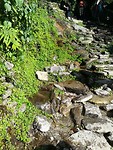 Trekking dag 2